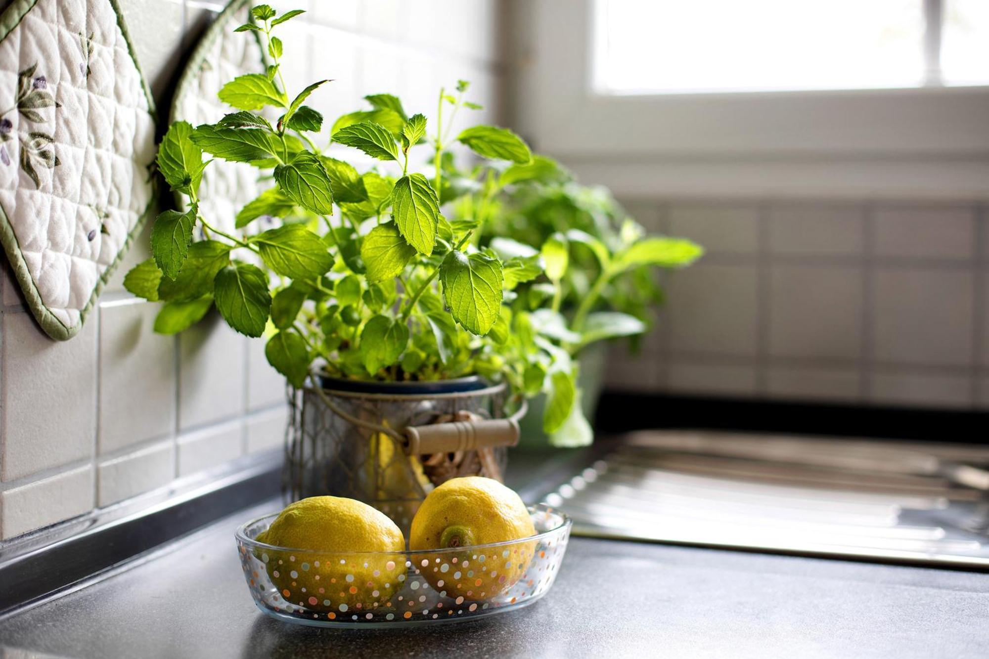 Apartament Hoell